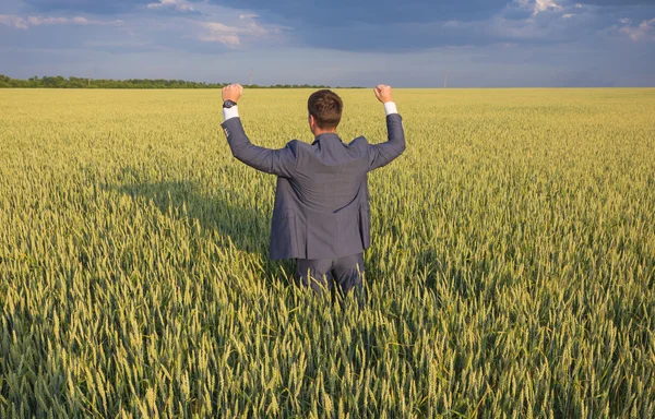 Happy affärsman står på fältet — Stockfoto