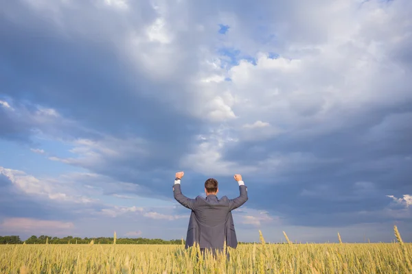 Happy businessman standing on the field — Stock Photo, Image