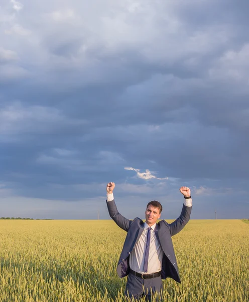 Glücklicher Geschäftsmann steht auf dem Feld — Stockfoto