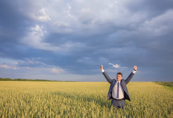 Glücklicher Geschäftsmann steht auf dem Feld — Stockfoto