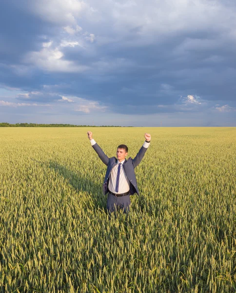 Happy affärsman står på fältet — Stockfoto