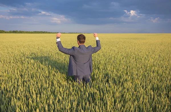 Счастливый бизнесмен, стоящий на поле — стоковое фото
