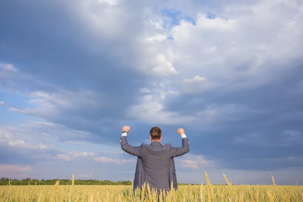 Happy businessman standing on the field — Stock Photo, Image