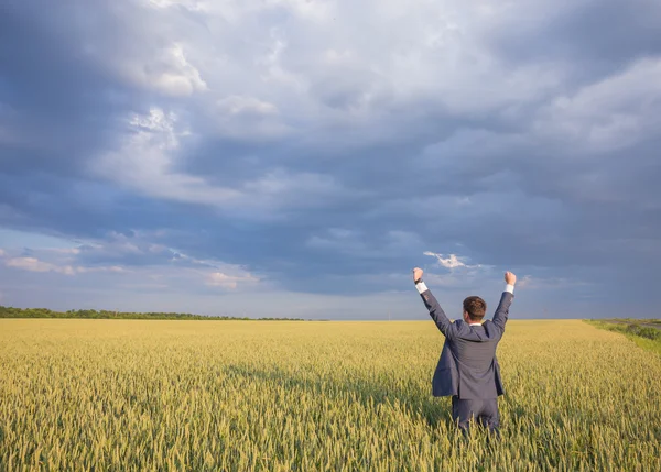 Szczęśliwy biznesmen stojąc na polu — Zdjęcie stockowe