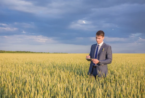 Zakenman op een tarweveld — Stockfoto