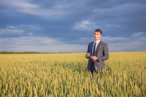 Zakenman op een tarweveld — Stockfoto