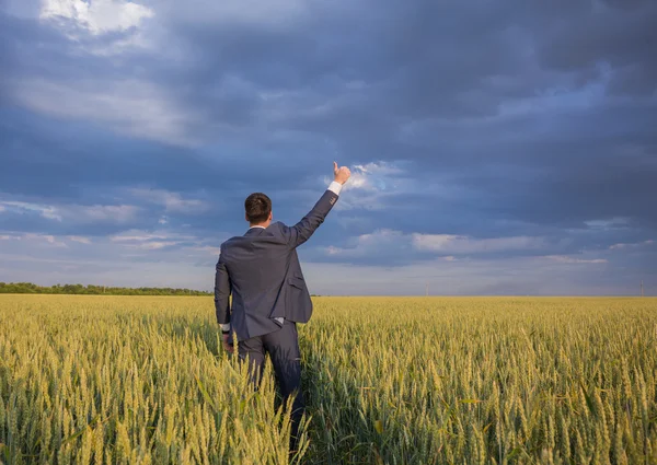 Happy farmer, businessman, standing in wheat field with his hands and thumbs up — Stock Photo, Image