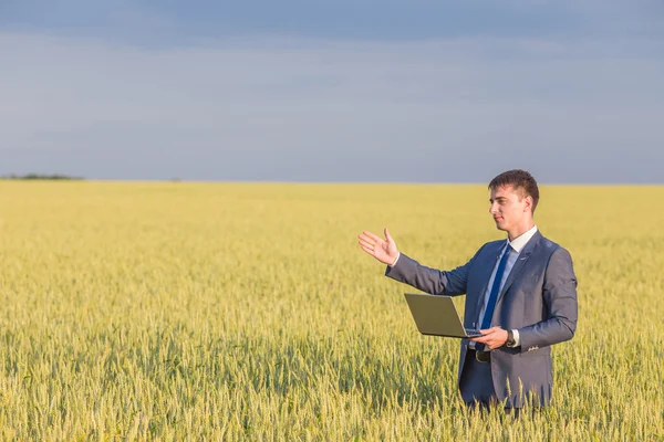 Businessman on a wheat field Stock Image