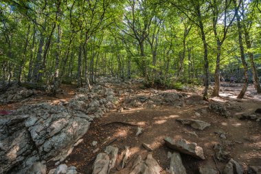 Dondurma külahı iki kepçe