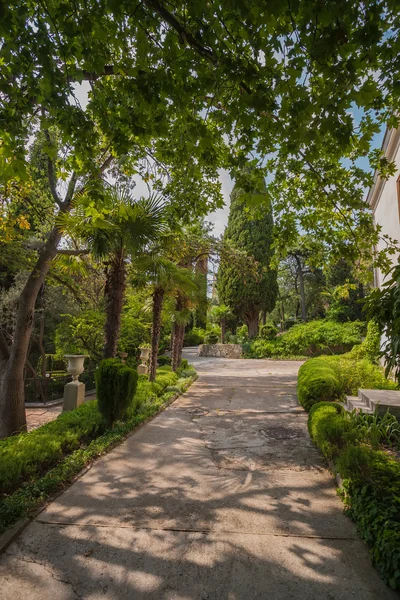 Beautiful garden with hedges — Stock Photo, Image