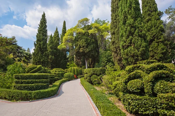 Beautiful garden with hedges — Stock Photo, Image