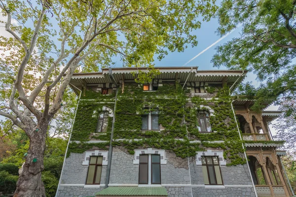 Historisch gebouw bedekt met groene klimop — Stockfoto