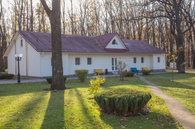 Ahşap cottagesin çam ormanı