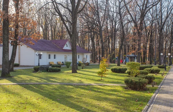 Fából készült cottagesin, a fenyves erdő — Stock Fotó