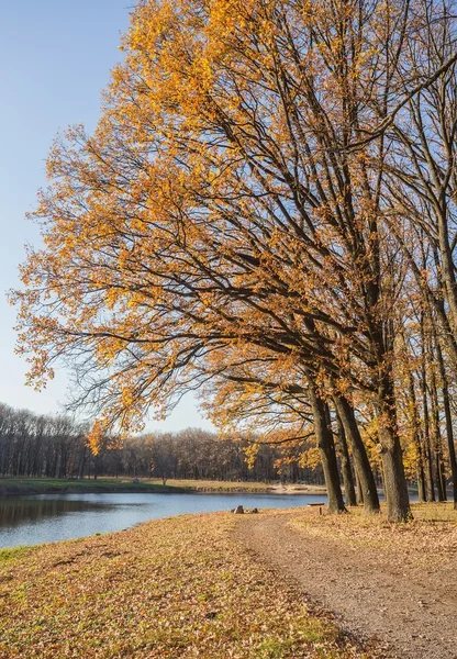 Caminho a pé no lado do lago, outono — Fotografia de Stock