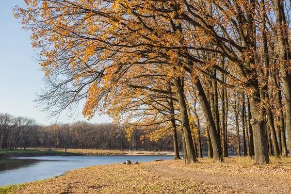 Пішохідна стежка в стороні озера, осінь — стокове фото