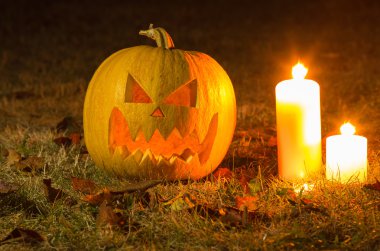 Halloween pumpkins mumlar ile