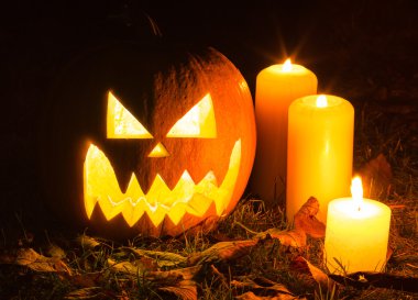 Halloween pumpkins mumlar ile