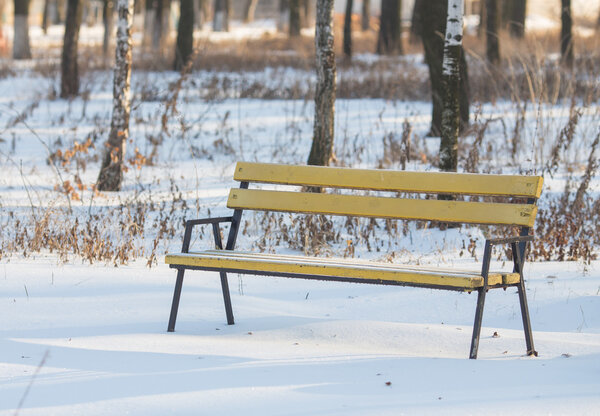 Benches in the winter city park