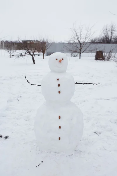 Hombre de nieve real al aire libre —  Fotos de Stock