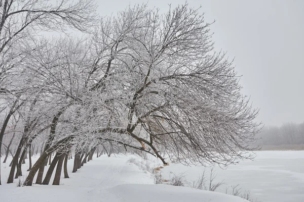 Linda paisagem de inverno — Fotografia de Stock