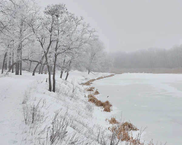 Linda paisagem de inverno — Fotografia de Stock