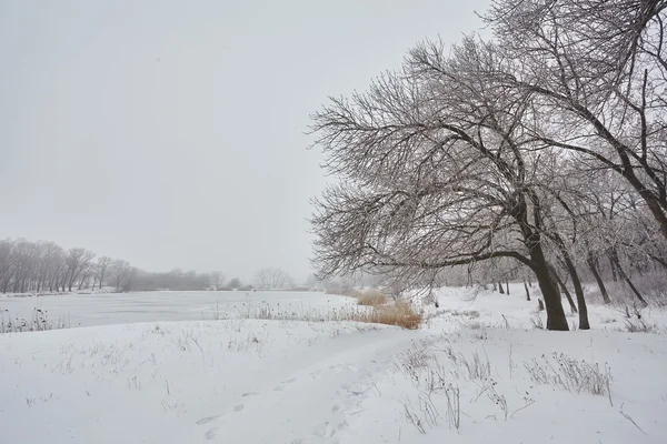 Linda paisagem de inverno — Fotografia de Stock