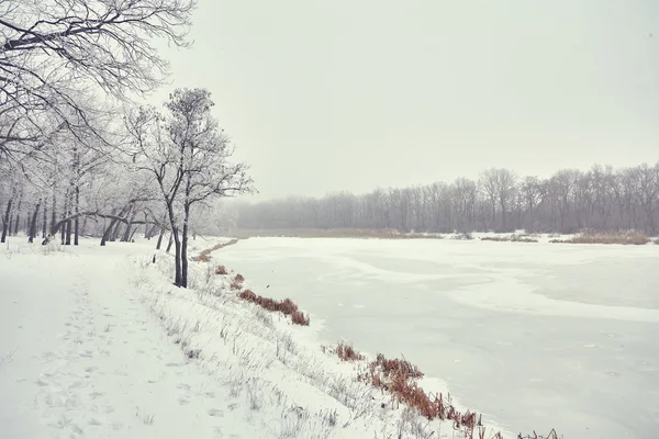 Linda paisagem de inverno — Fotografia de Stock