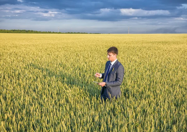 Zakenman op een tarweveld — Stockfoto