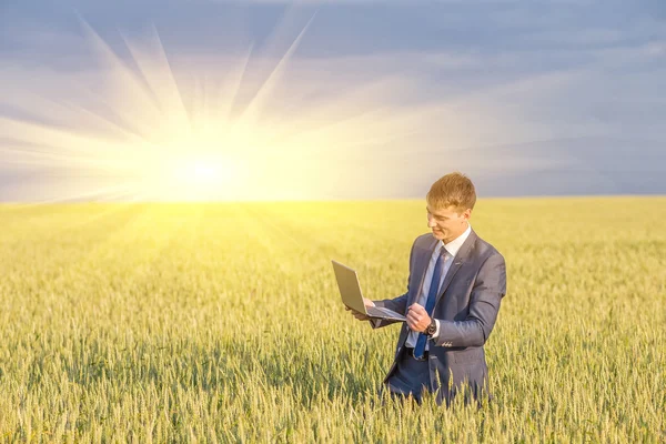 Бизнесмен на пшеничном поле — стоковое фото