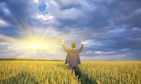 Contadino felice, uomo d'affari, in piedi nel campo di grano con le mani e i pollici in alto — Foto Stock