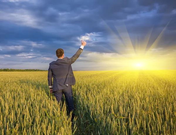 Contadino felice, uomo d'affari, in piedi nel campo di grano con le mani e i pollici in alto — Foto Stock