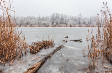 Kış döneminde Orman Gölü.