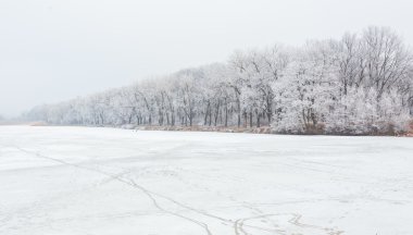 Kış döneminde Orman Gölü.