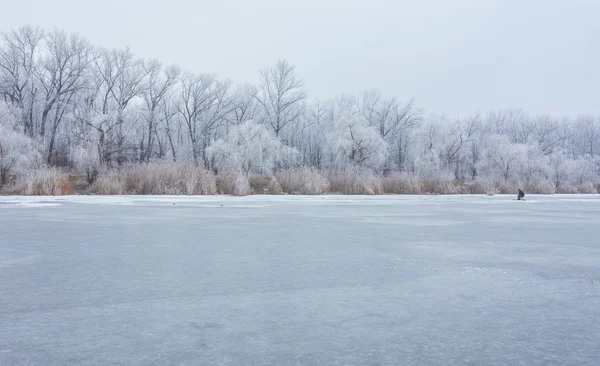 Hora de inverno no lago da floresta . — Fotografia de Stock