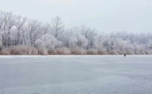 Tiempo de invierno en el lago del bosque . — Foto de Stock