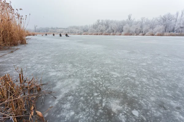 Hora de inverno no lago da floresta . — Fotografia de Stock