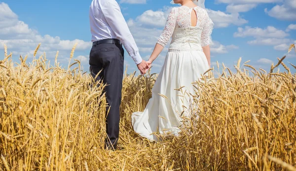 Joven hermosa boda pareja abrazando en un campo con hierba — Foto de Stock