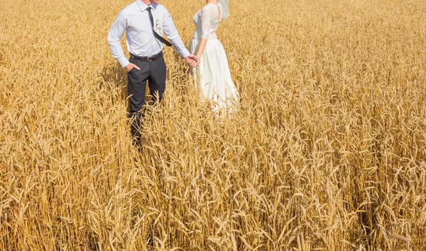 Junges schönes Hochzeitspaar umarmt sich auf einem Feld mit Gras — Stockfoto