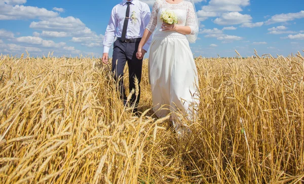 Jovem lindo casamento casal abraçando em um campo com grama — Fotografia de Stock