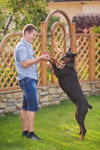 Young man playing with dog — Stock Photo, Image
