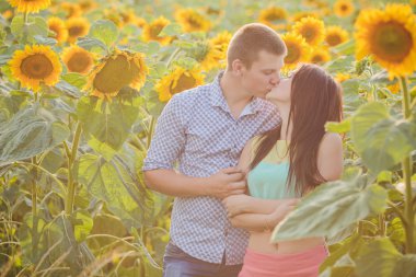 bir alanda iki ayçiçeği