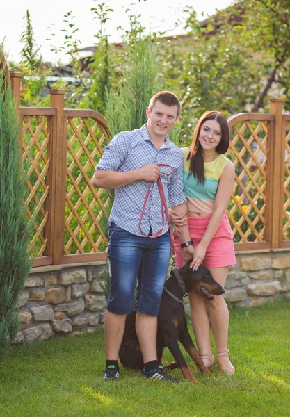 Couple in wedding attire and hunting dog breed — Stock Photo, Image