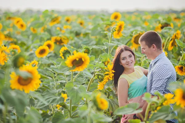 Paar in einem Feld von Sonnenblumen — Stockfoto