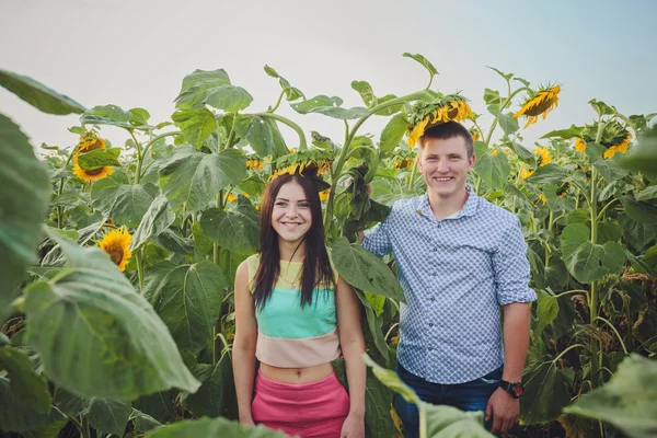 Paar in einem Feld von Sonnenblumen — Stockfoto