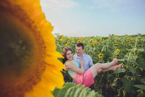 Paar in einem Feld von Sonnenblumen — Stockfoto