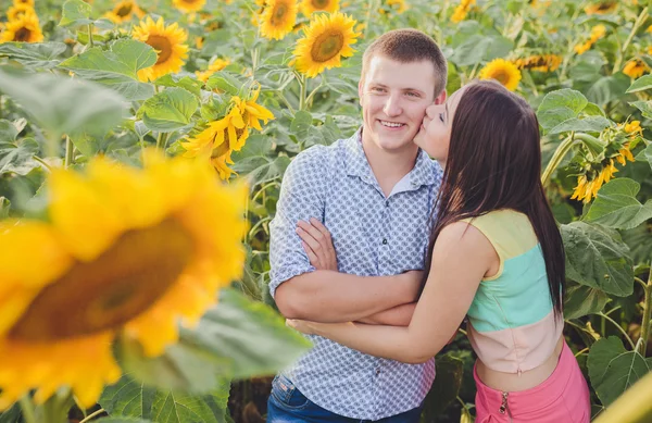 Paar in einem Feld von Sonnenblumen — Stockfoto