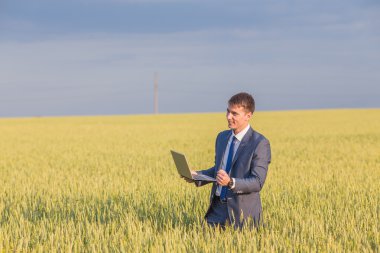 İşadamı bir buğday alanı