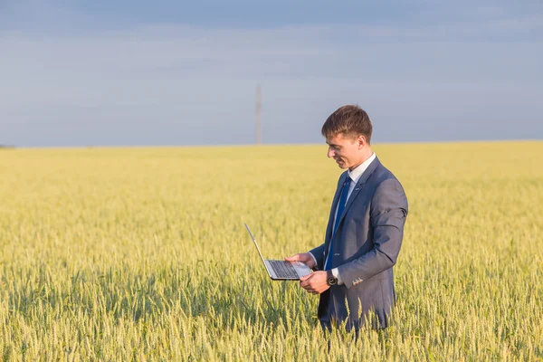 Empresario en un campo de trigo — Foto de Stock