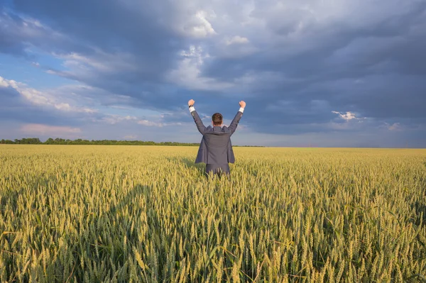 Happy businessman standing on the field — Stock Photo, Image